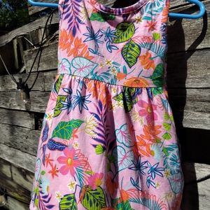 12 Month Wonder Nation Dress